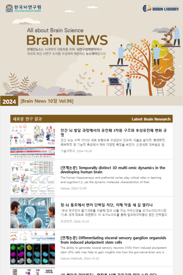 [Brain News 10월 Vol.96] 인간 뇌 발달 과정에서의 유전체 3차원 구조와 후성유전체 변화 규명