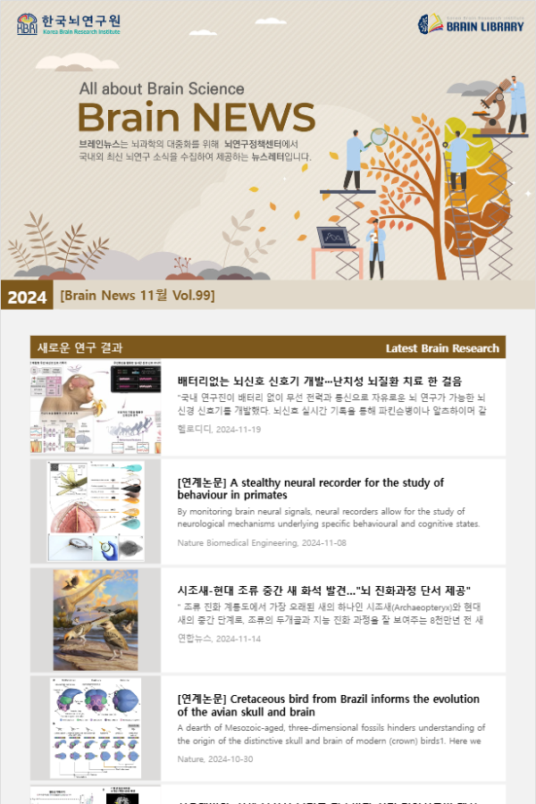 [Brain News 11월 Vol.99] 배터리없는 뇌신호 신호기 개발···난치성 뇌질환 치료 한 걸음