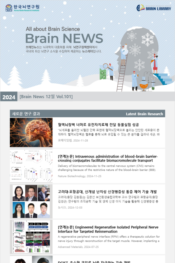 [Brain News 12월 Vol.101] 혈액뇌장벽 너머로 유전자치료제 전달 동물실험 성공