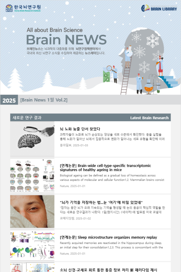 [Brain News 1월 Vol.2] 뇌 노화 늦출 단서 찾았다