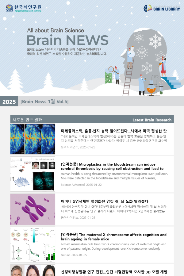 [Brain News 1월 Vol.5] 어머니 X염색체만 활성화된 암컷 쥐, 뇌 노화 빨라졌다