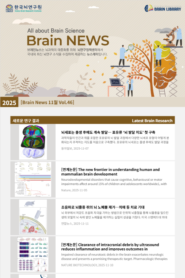 [Brain News 11월 Vol.46] 뇌세포는 출생 후에도 계속 발달… 포유류 ‘뇌 발달 지도’ 첫 구축