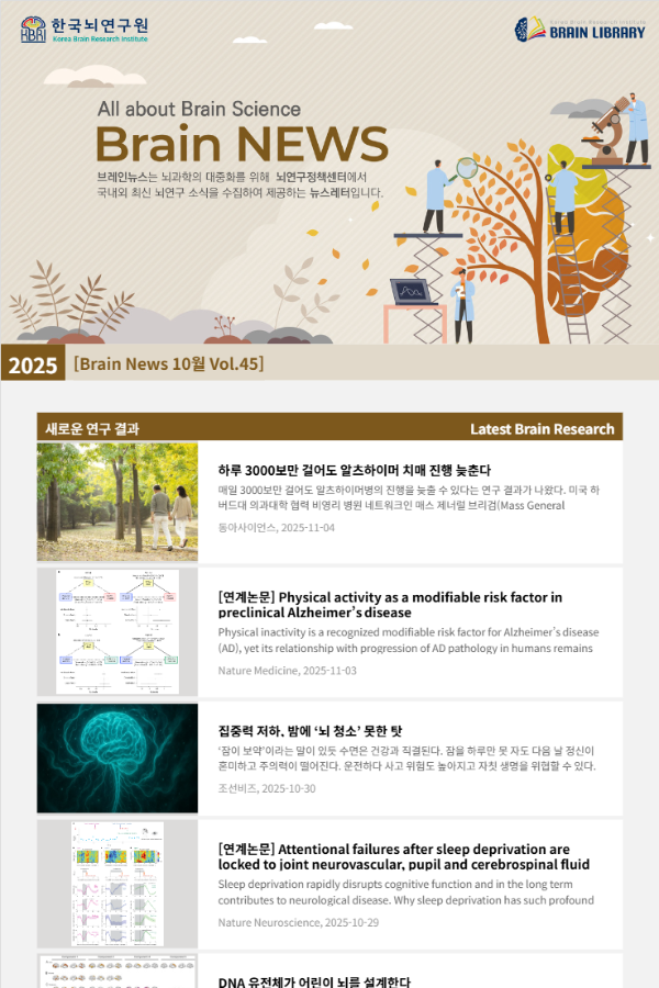 [Brain News 11월 Vol.45] 하루 3000보만 걸어도 알츠하이머 치매 진행 늦춘다
