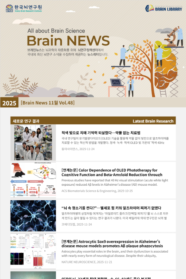 [Brain News 11월 Vol.48] 적색 빛으로 치매 기억력 되살렸다…약물 없는 치료법
