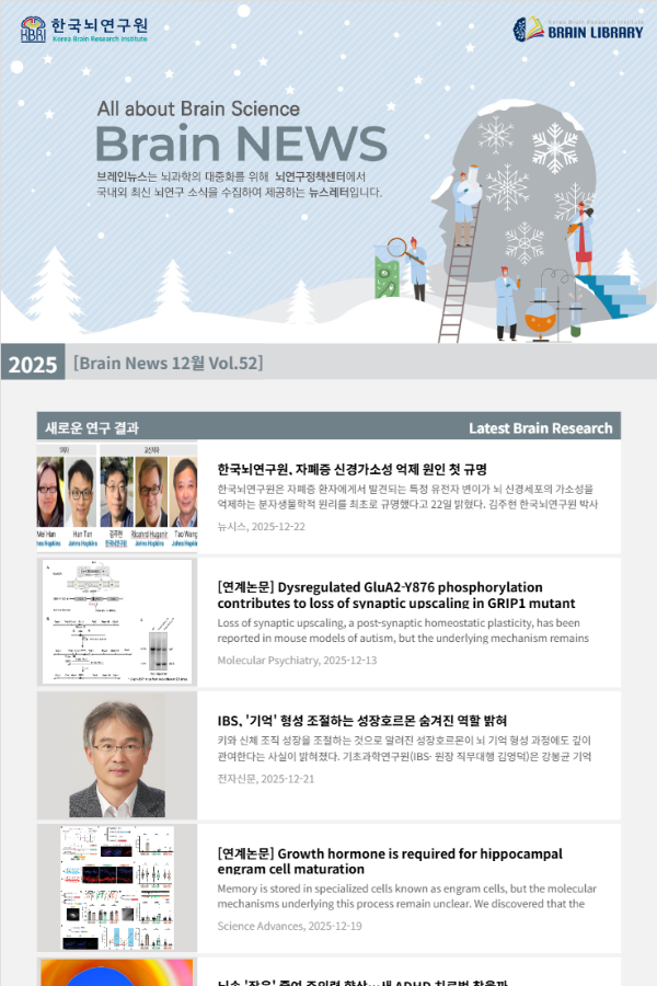 [Brain News 12월 Vol.52] 한국뇌연구원, 자폐증 신경가소성 억제 원인 첫 규명