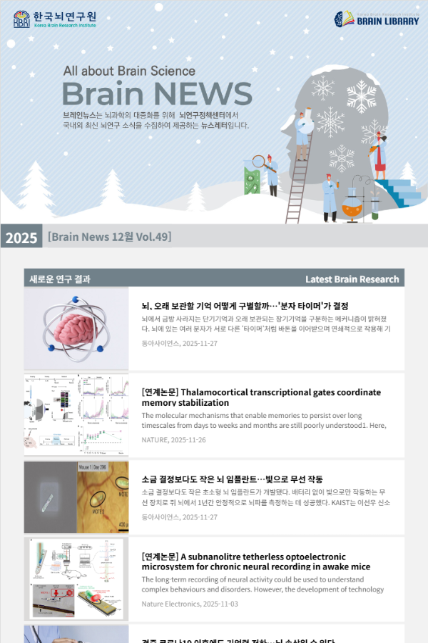 [Brain News 12월 Vol.49] 뇌, 오래 보관할 기억 어떻게 구별할까…'분자 타이머'가 결정