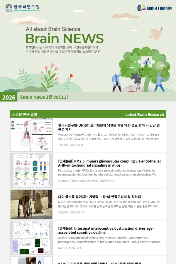 [Brain News 3월 Vol.11] 한국뇌연구원-UNIST, 초미세먼지 뇌혈관 기능 약화 경로 밝혀 뇌 건강 연관성 제시