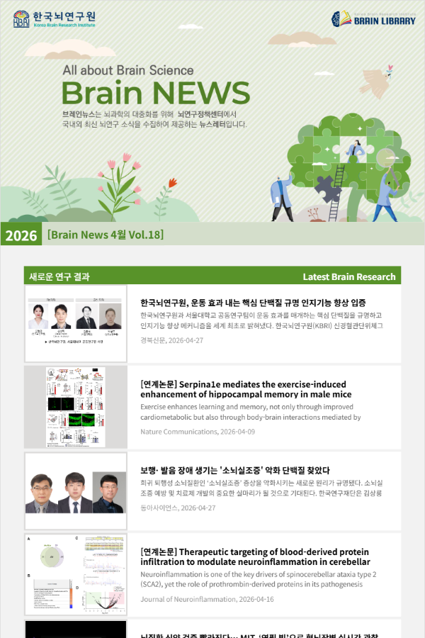 [Brain News 4월 Vol.18] 한국뇌연구원, 운동 효과 내는 핵심 단백질 규명 인지기능 향상 입증