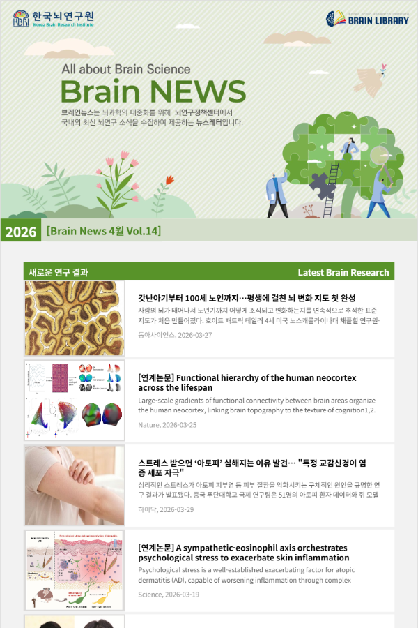 [Brain News 4월 Vol.14] 갓난아기부터 100세 노인까지…평생에 걸친 뇌 변화 지도 첫 완성