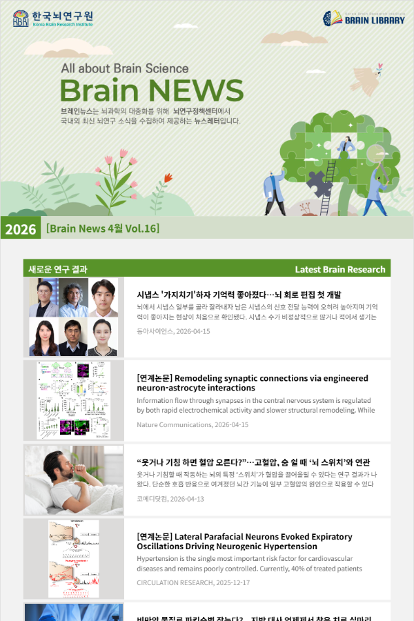 [Brain News 4월 Vol.16] 시냅스 '가지치기'하자 기억력 좋아졌다…뇌 회로 편집 첫 개발