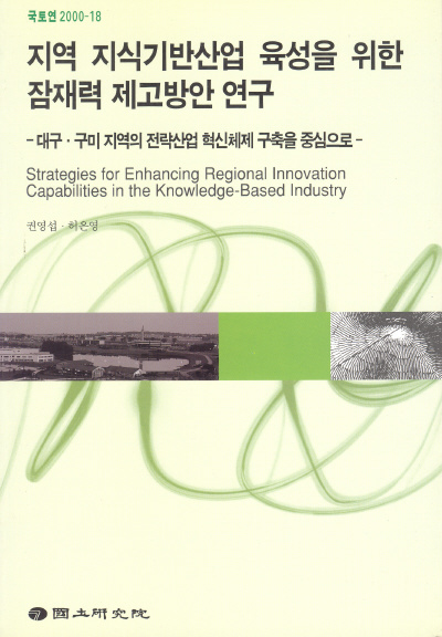 지역 지식기반산업 육성을 위한 잠재력 제고방안 연구 : 대구.구미 지역의 전략산업 혁신체제 구축을 중심으로